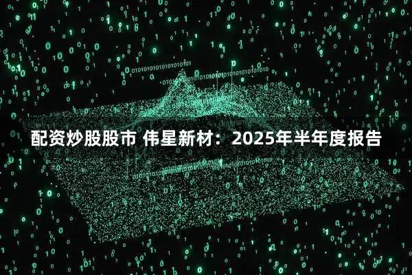 配资炒股股市 伟星新材：2025年半年度报告